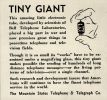 tinygiant.jpeg