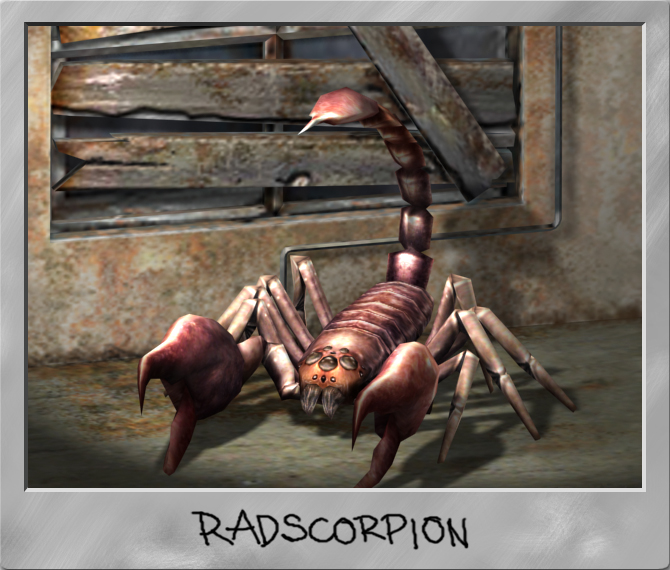 radscorpion~0.jpg